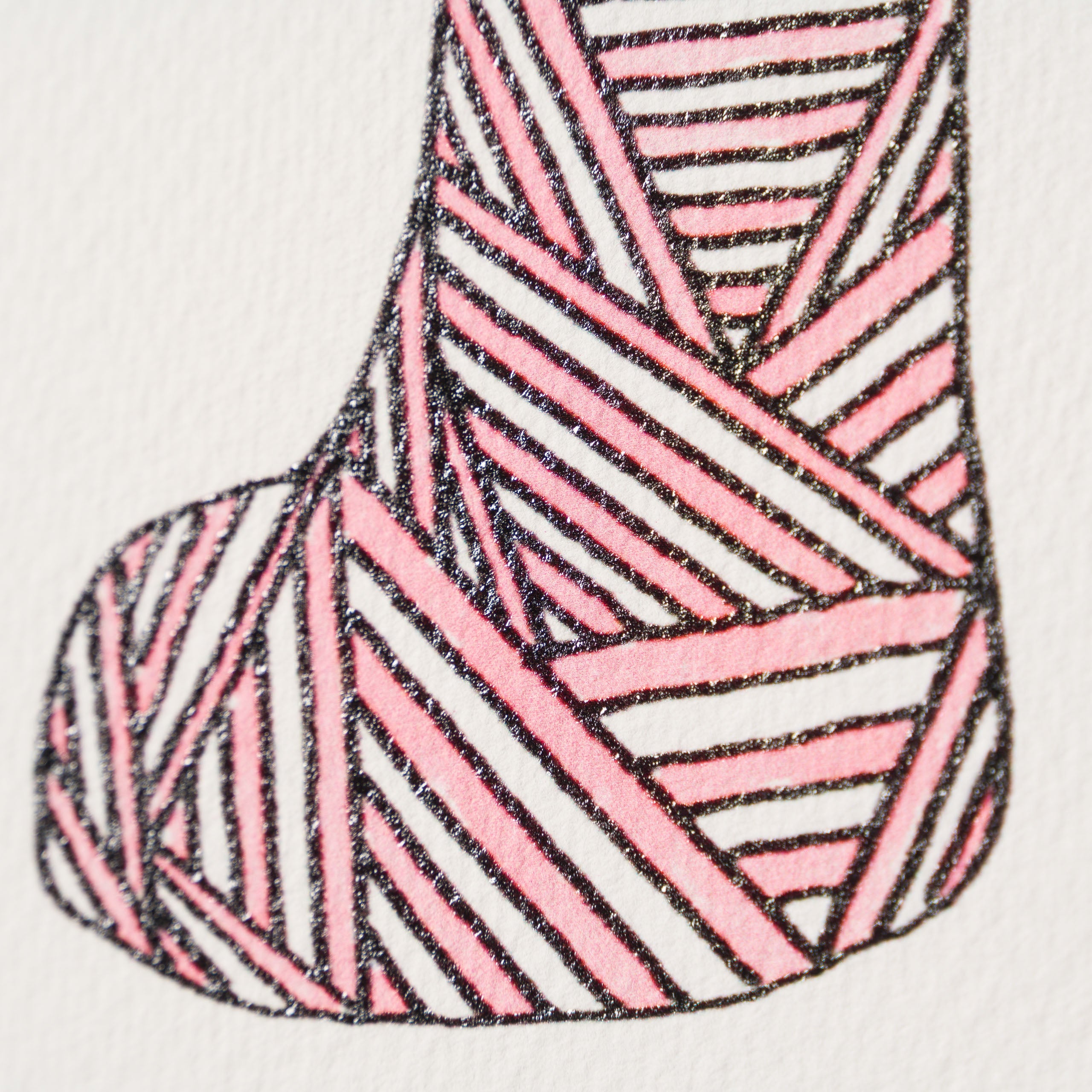 BCN Extinct Scottish Cat 7