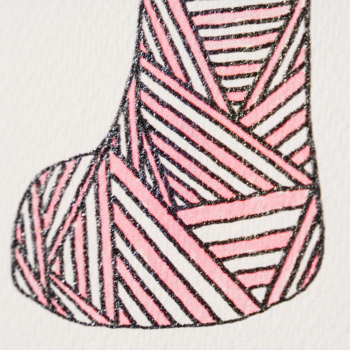 BCN Extinct Scottish Cat 7