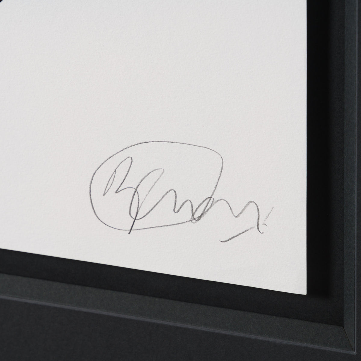 BCN ORI POR 33330 Baby Flier (Blue & Purple) 3