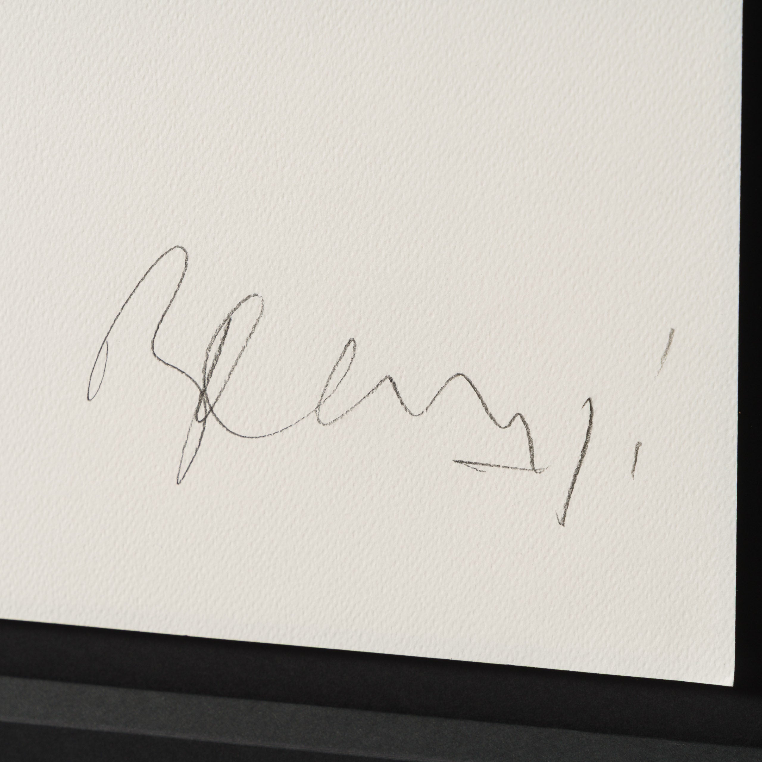 BCN ORI POR 36433 Windswept & Interesting (Black & Yellow Stripes) 3