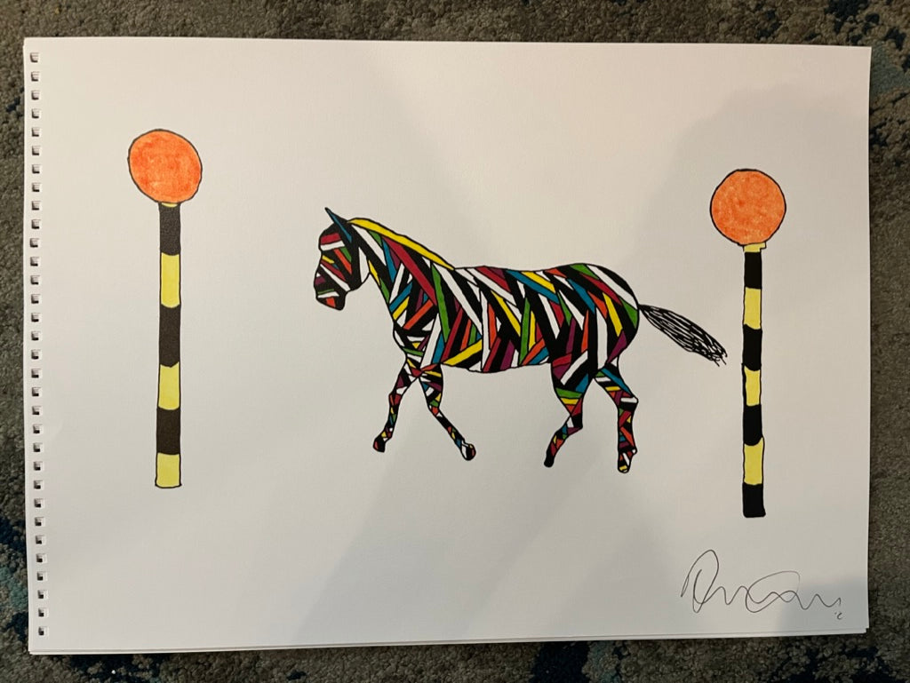 BCN ORI Zebra Crossing (Multicoloured)