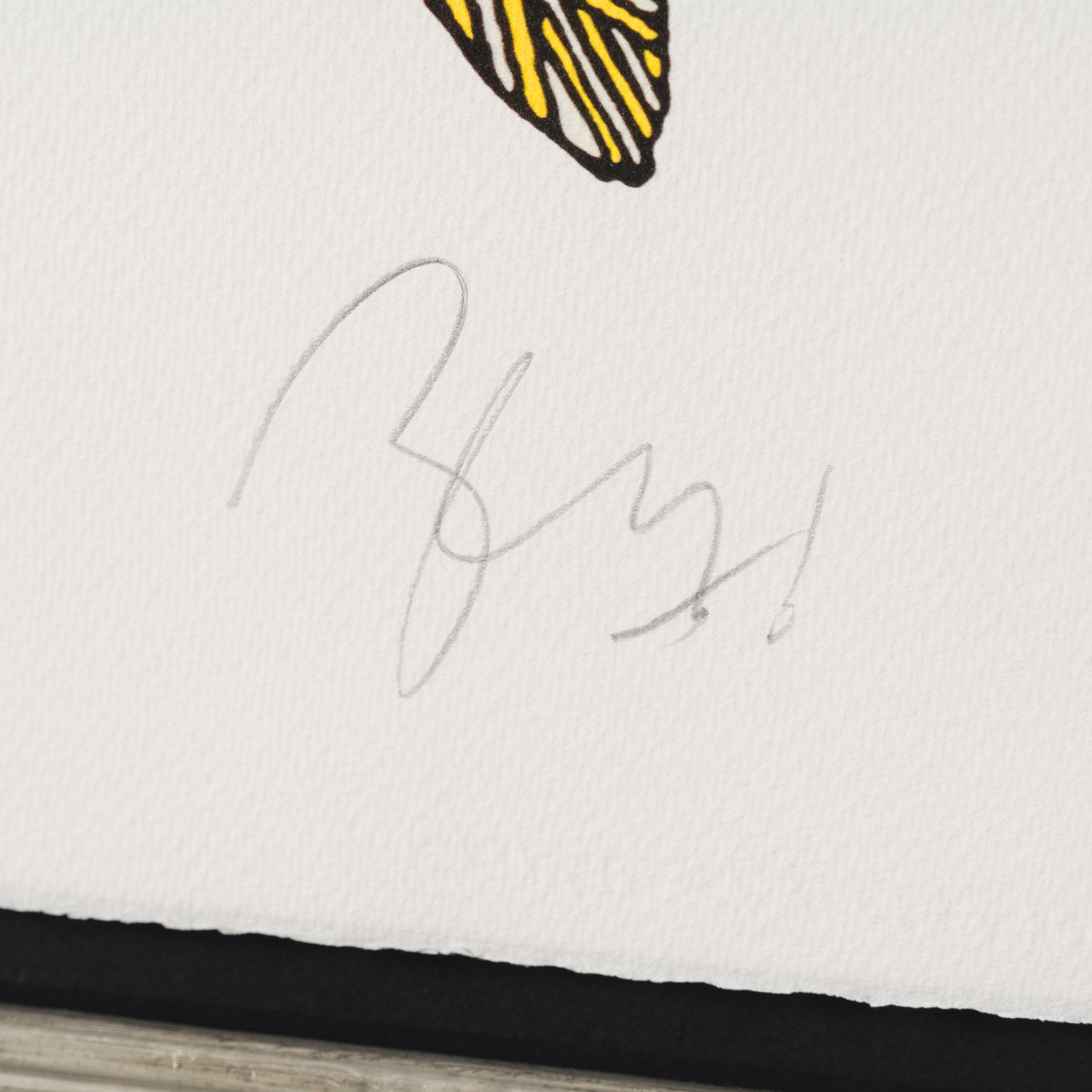 BCN Permit From Memory 3