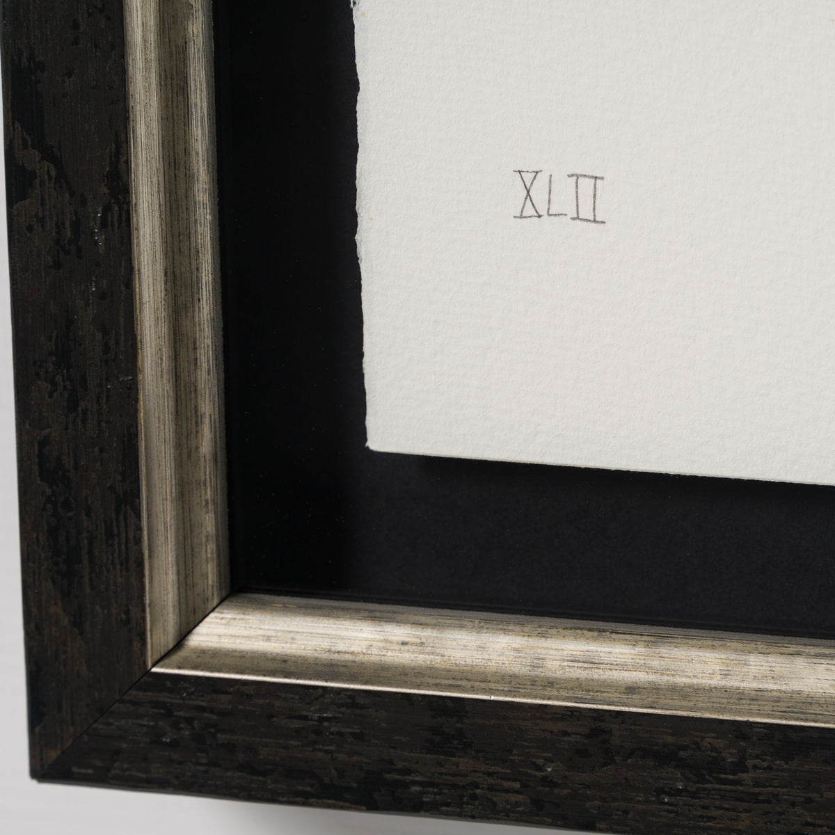 BCN Razzle Dazzle Rose XLII 3