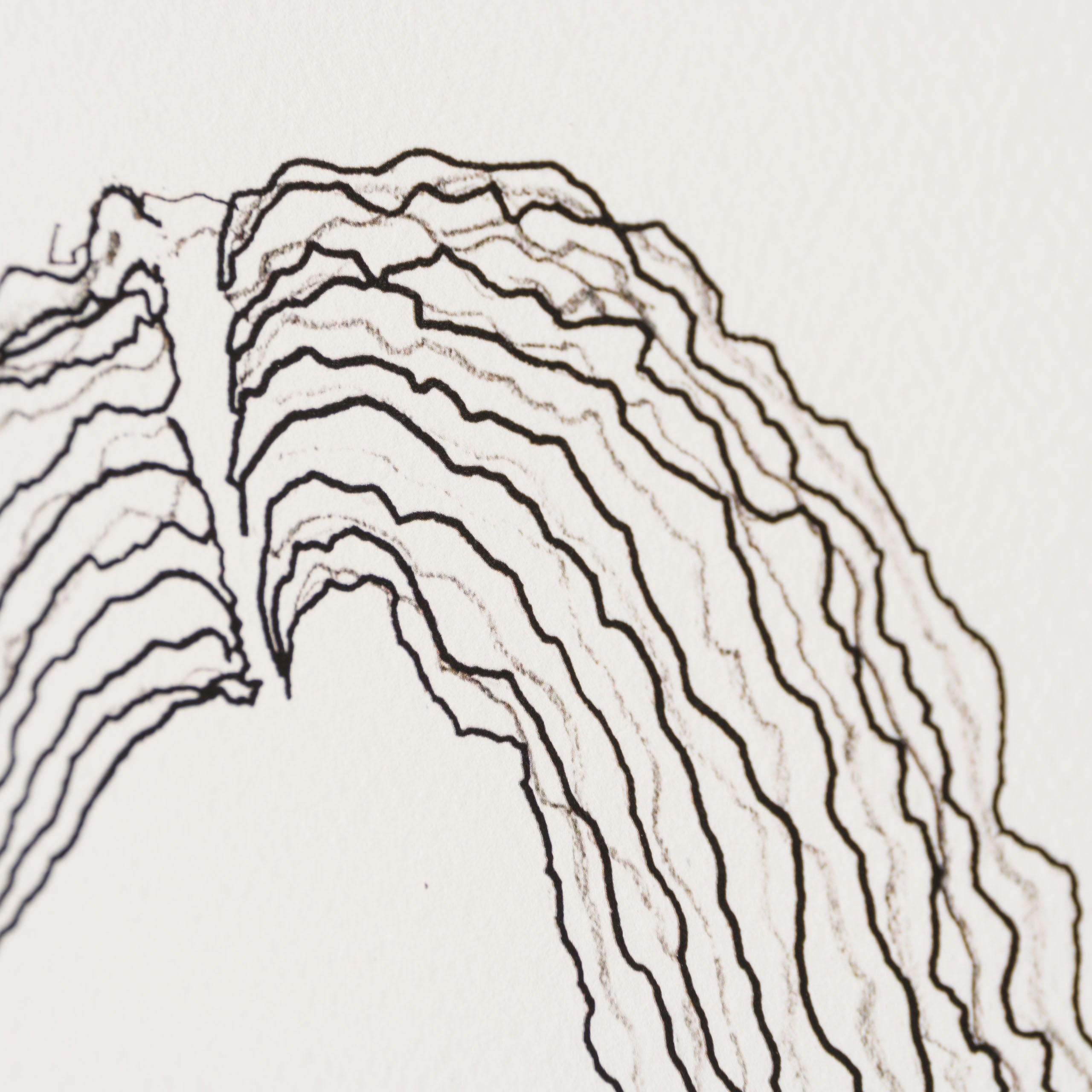 Born on a Rainy Day (Book with Framed Signed Print)