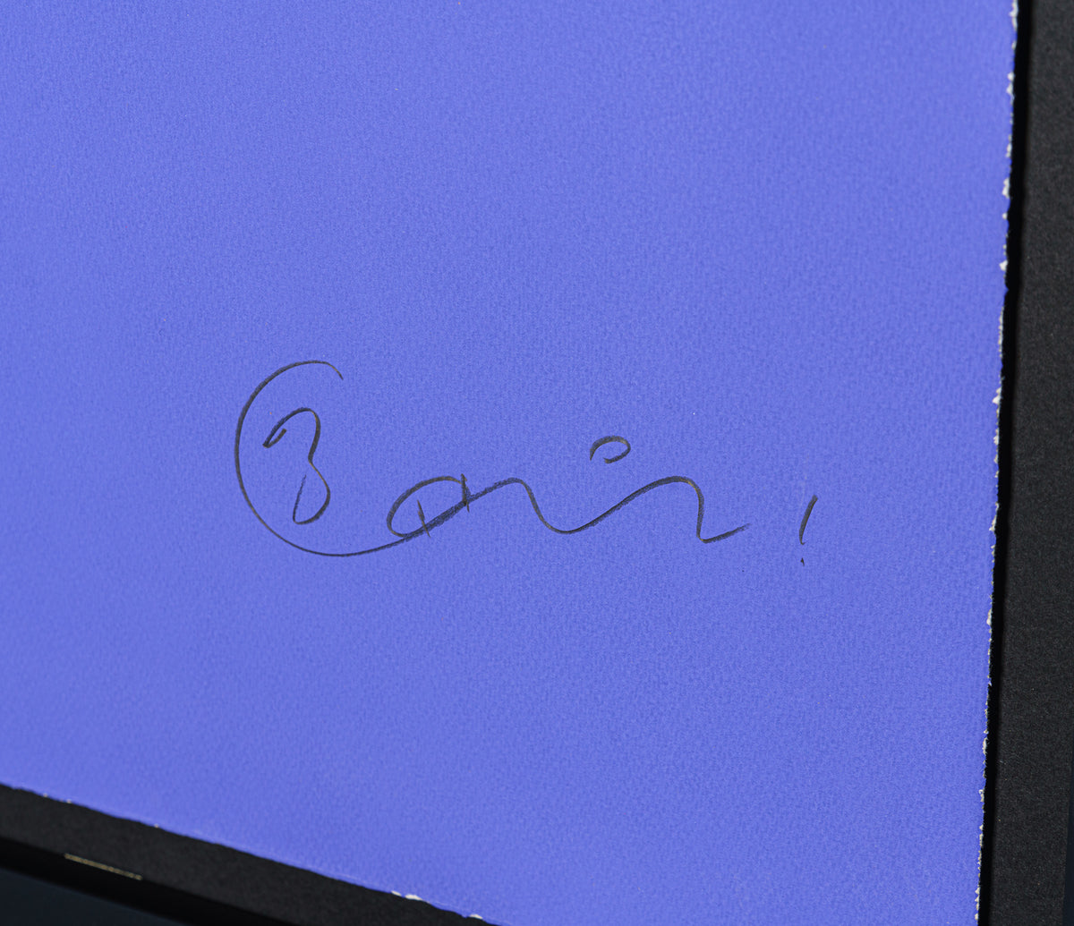 BCN SIL POR 25359 6 Blue Angel