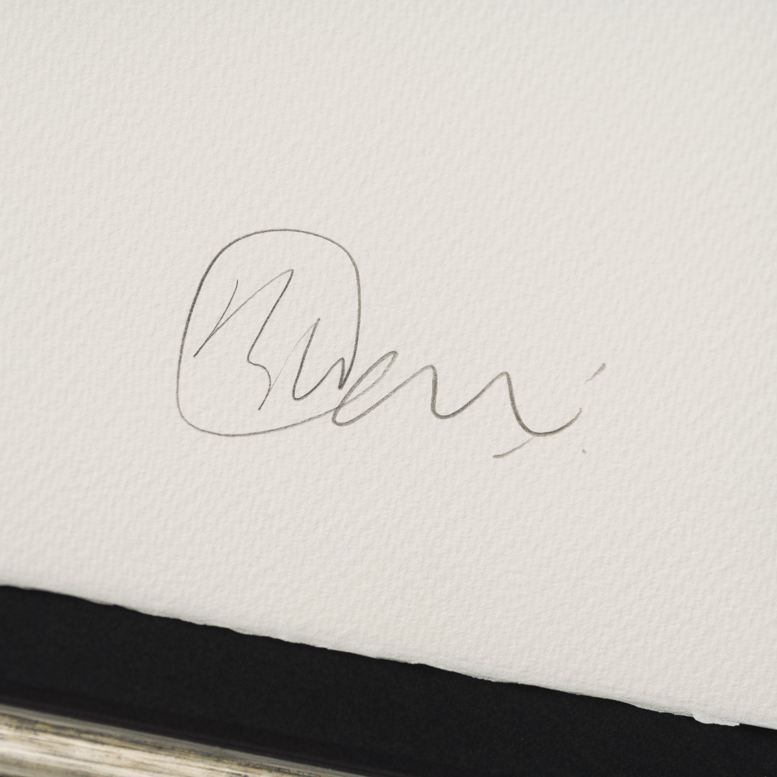 BCN Silence In The Undergrowth 3