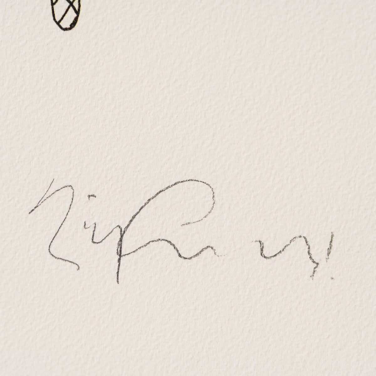 Disabled American II