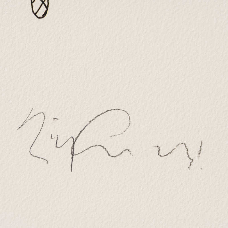 Disabled American II