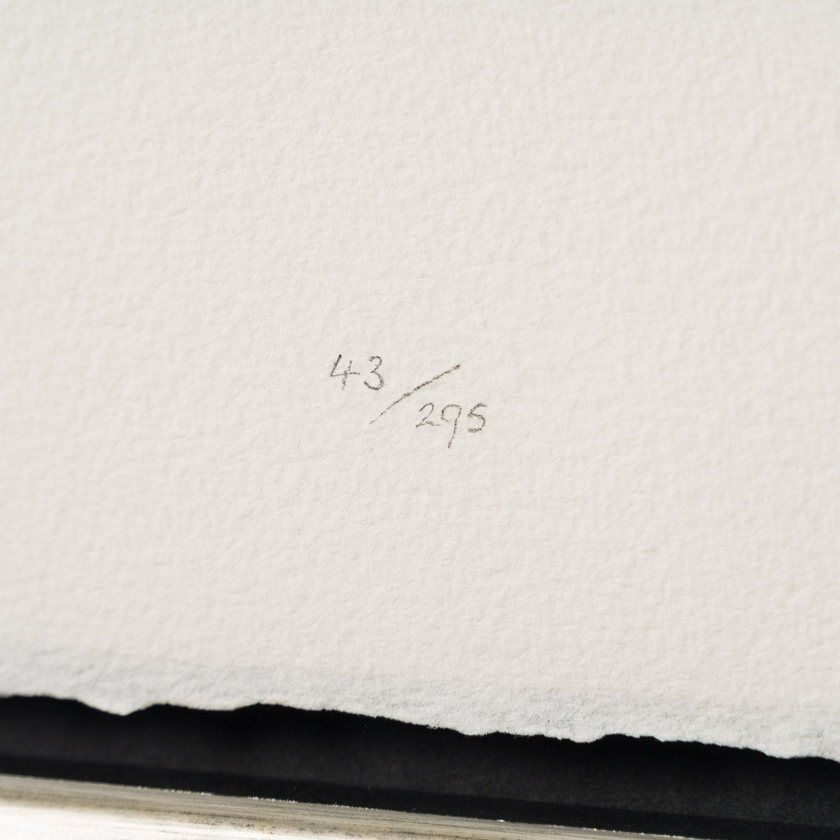 BCN SLE POR 25516 Purple People Eater 4