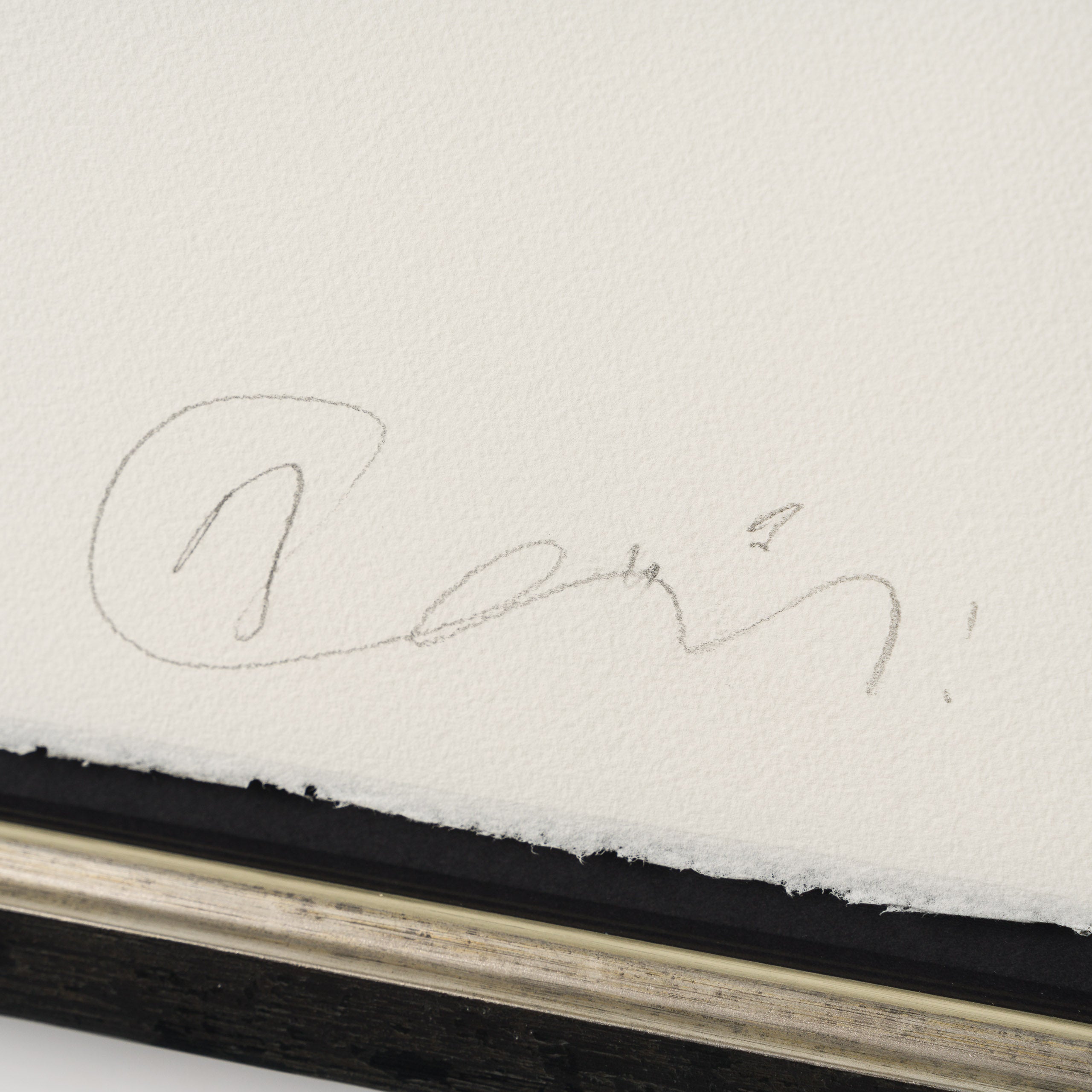 BCN SLE POR 25518 GoZunderfish 3