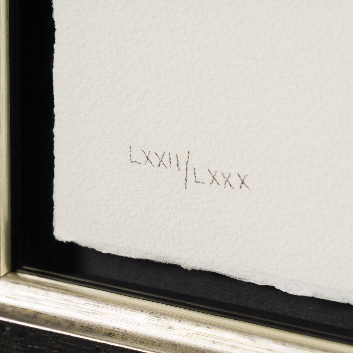 BCN SLE POR 25518 GoZunderfish 4