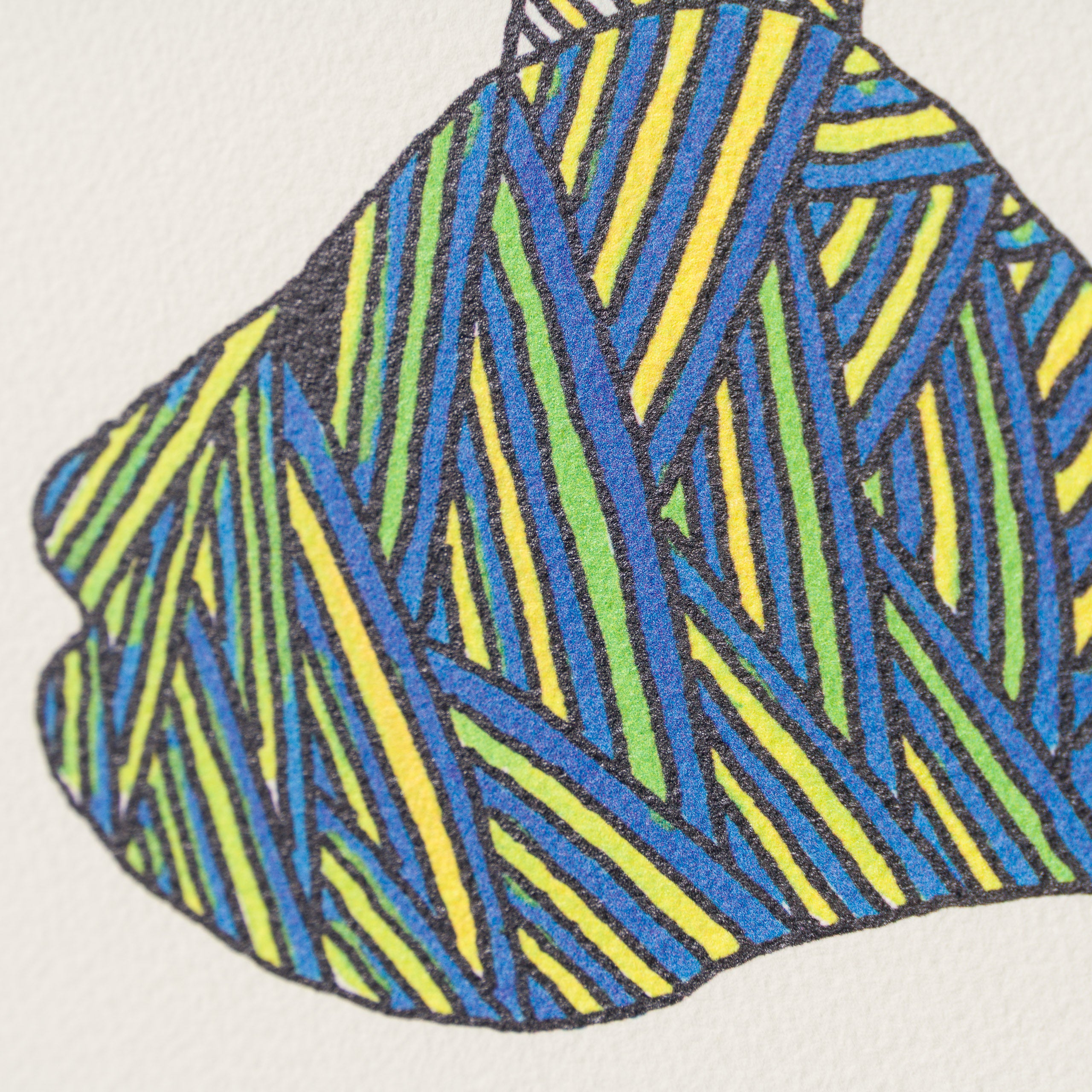 BCN SLE POR 25518 GoZunderfish 5