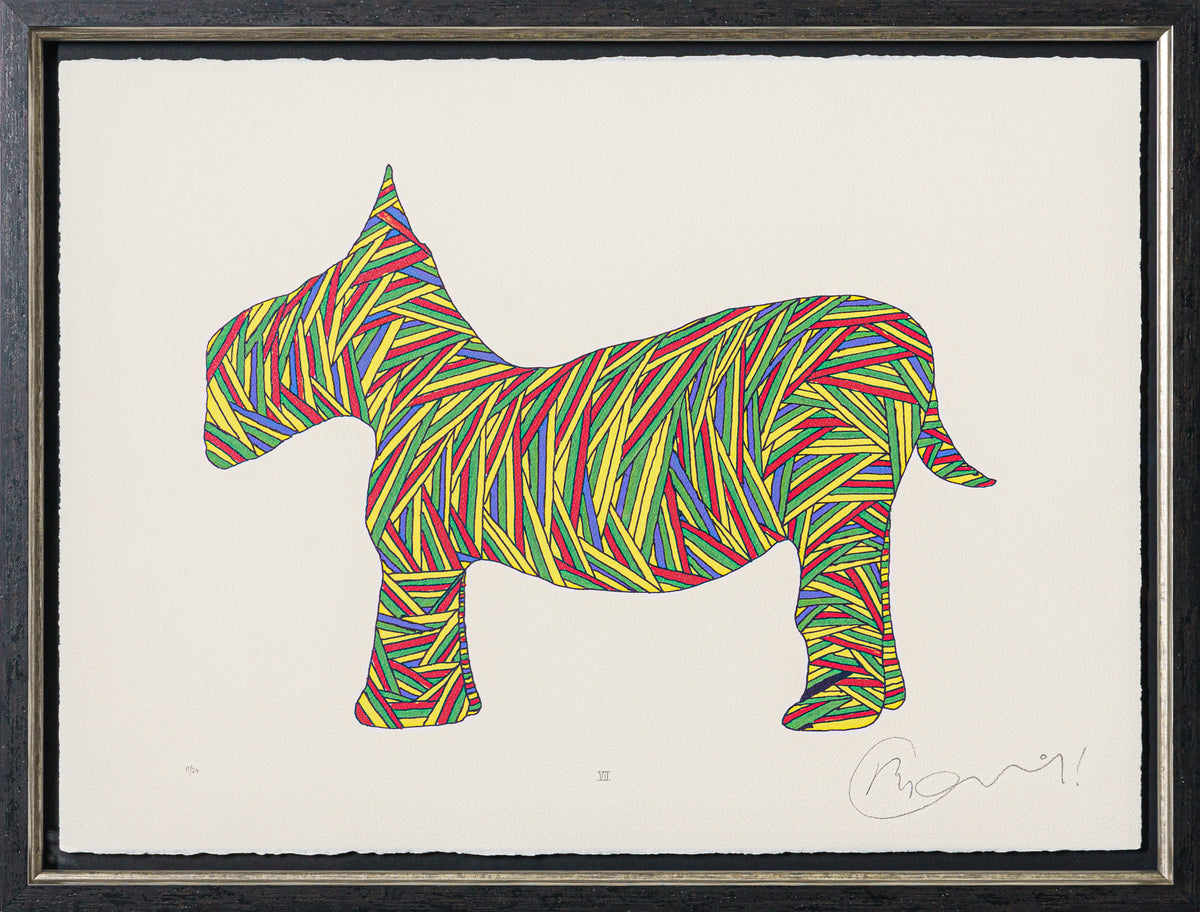 BCN SLE POR 28068 4 Scotty Poser VII