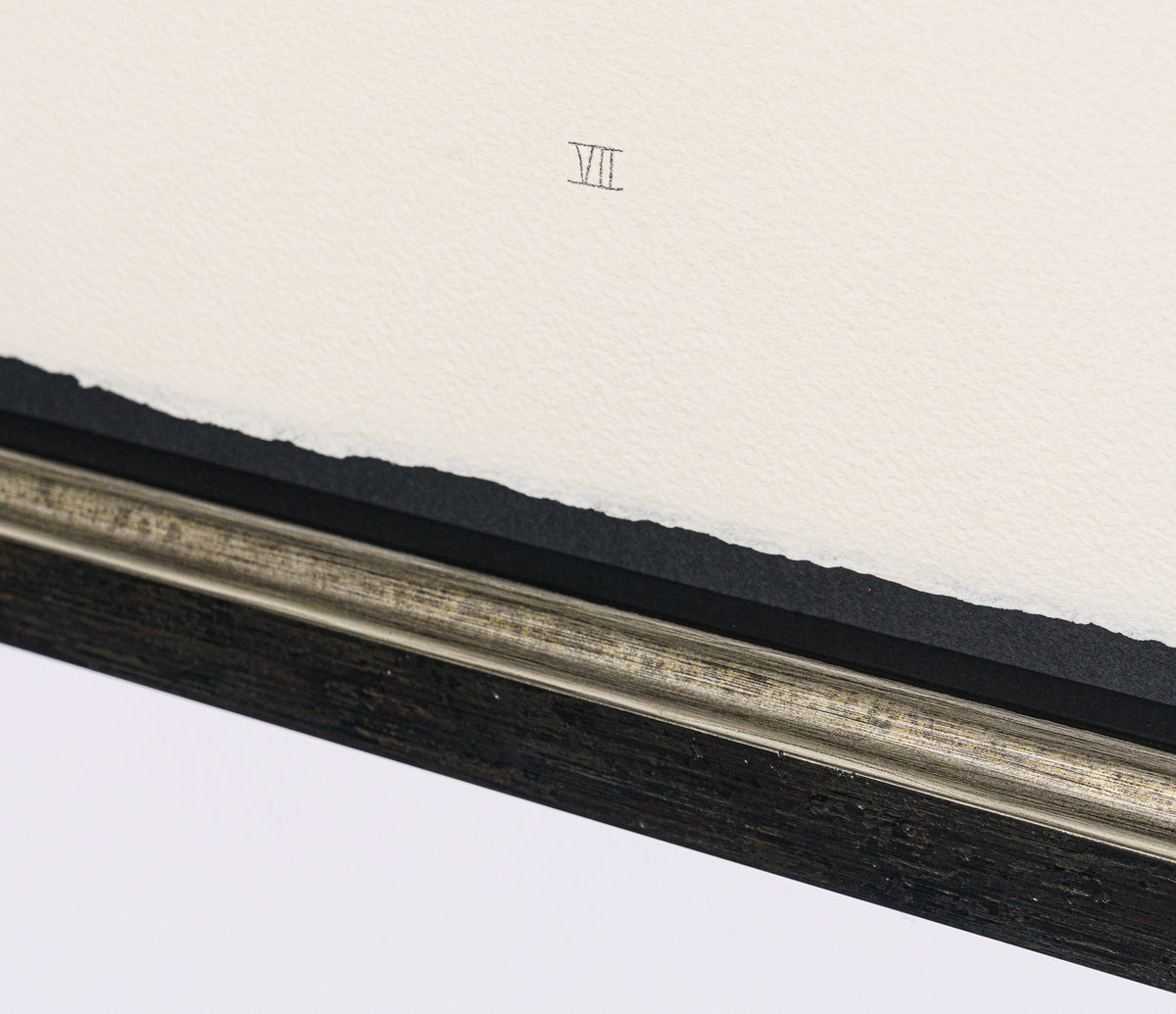 BCN SLE POR 28068 5 Scotty Poser VII