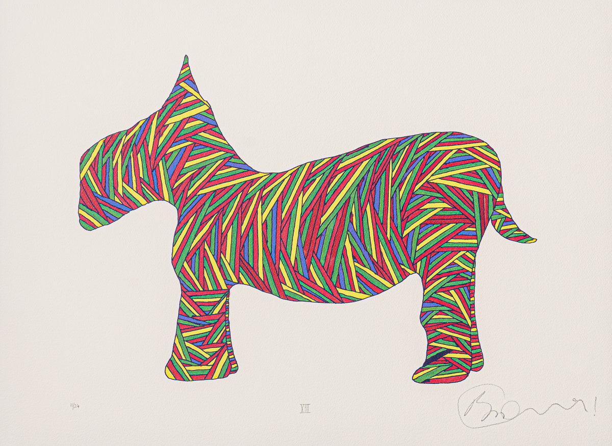 BCN SLE POR 28074 3 Scotty Poser XIII