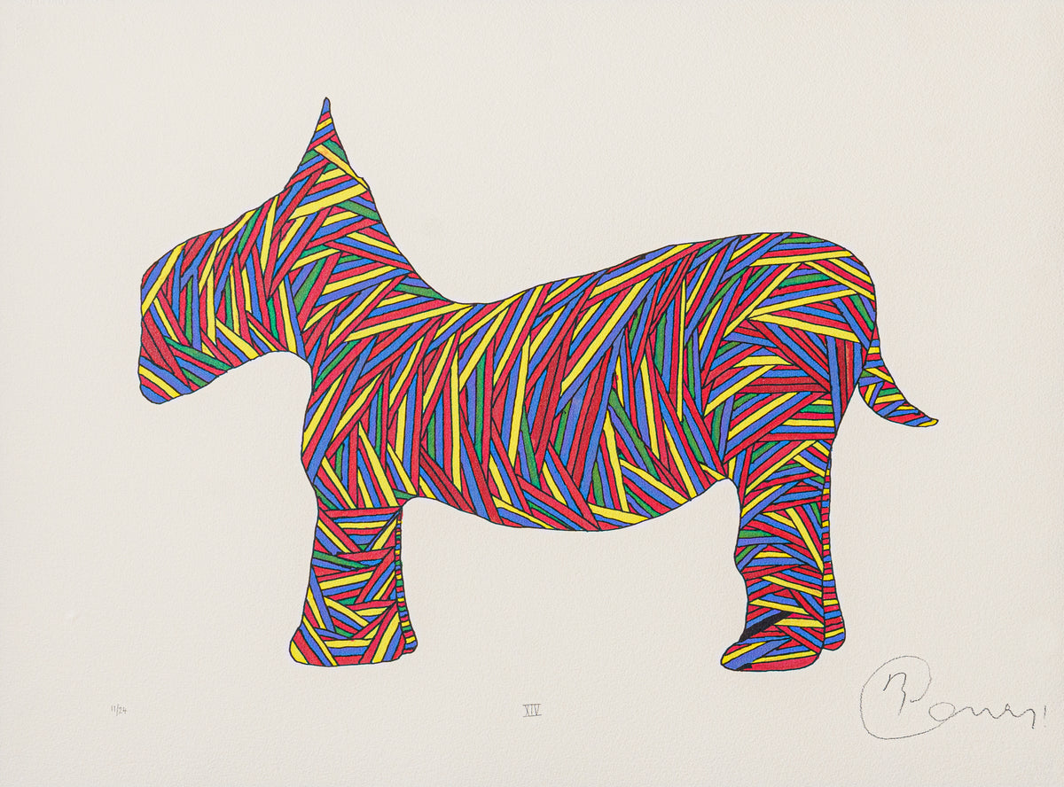 BCN SLE POR 28075 3 Scotty Poser XIV