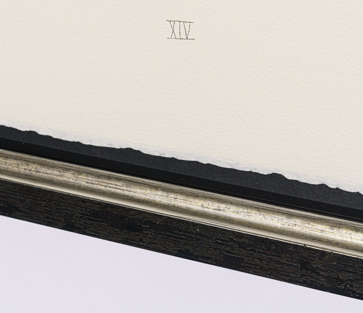 BCN SLE POR 28075 5 Scotty Poser XIV