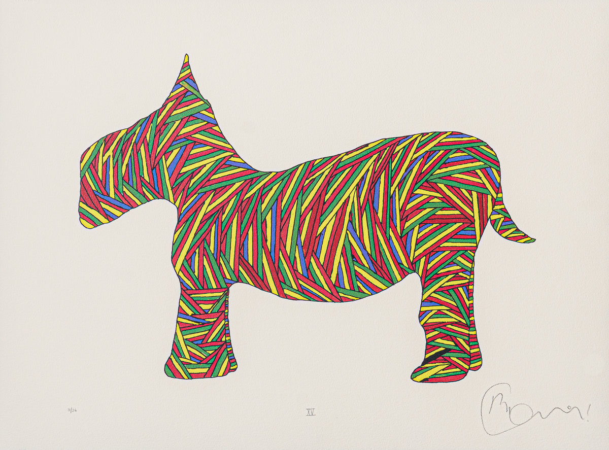 BCN SLE POR 28076 3 Scotty Poser XV