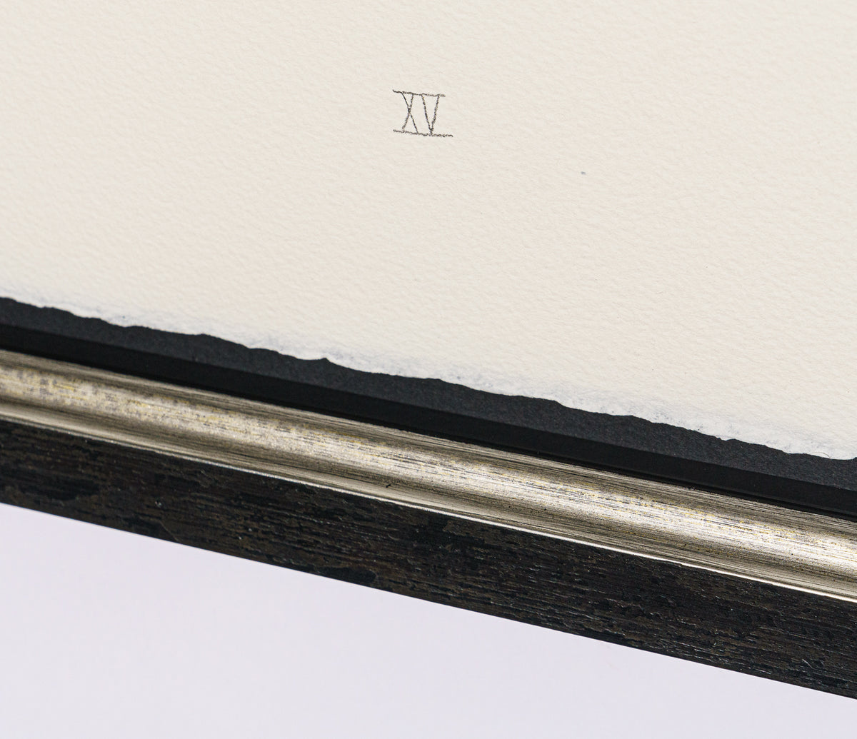 BCN SLE POR 28076 5 Scotty Poser XV