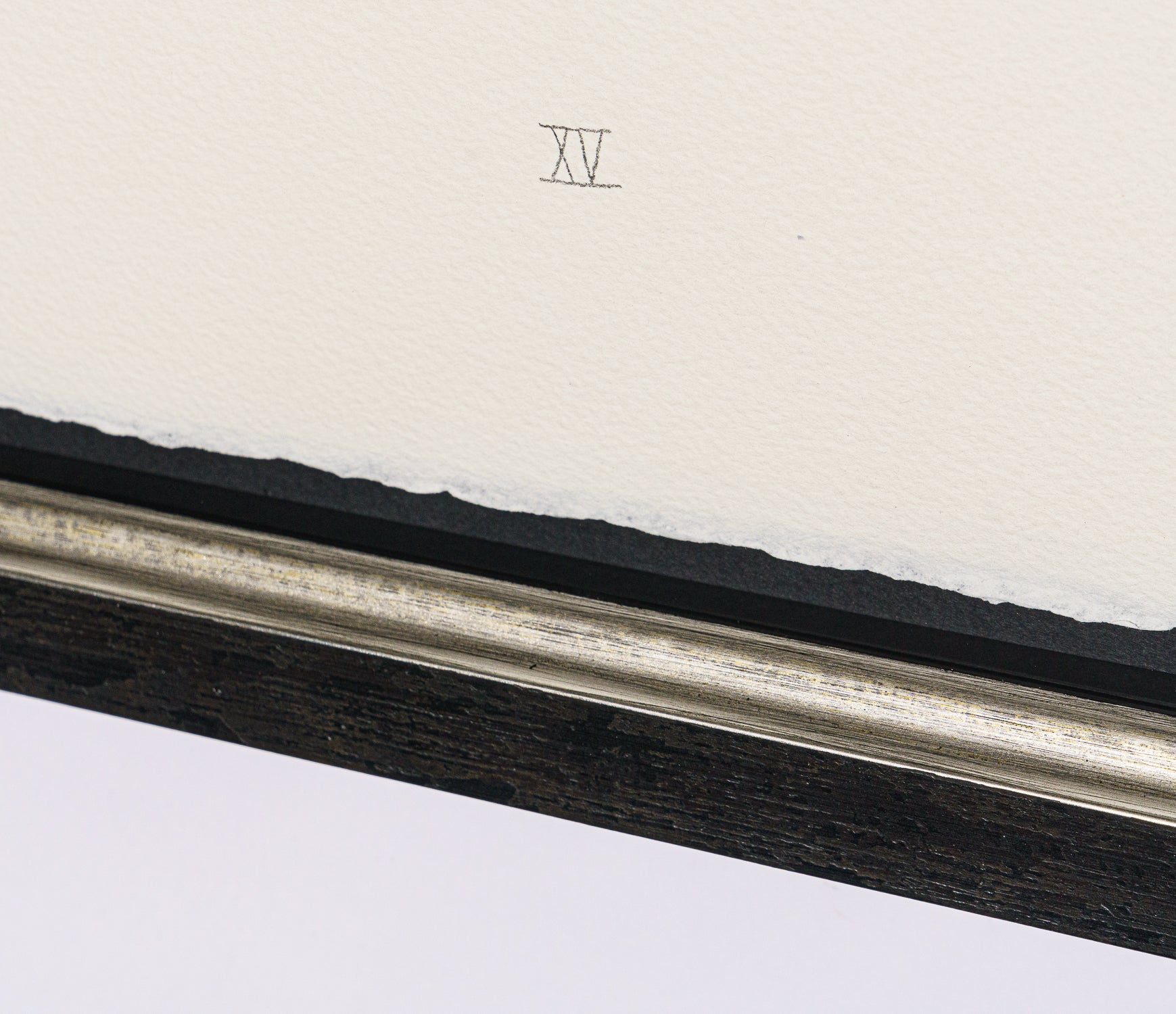 BCN SLE POR 28076 5 Scotty Poser XV