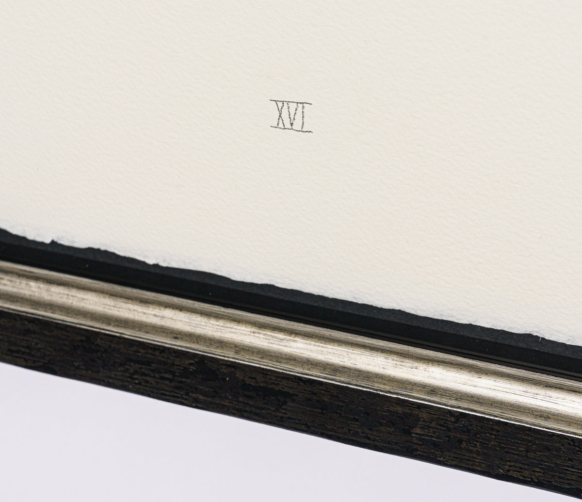 BCN SLE POR 28077 5 Scotty Poser XVI