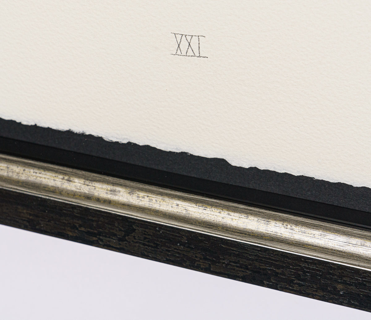 BCN SLE POR 28082 5 Scotty Poser XXI