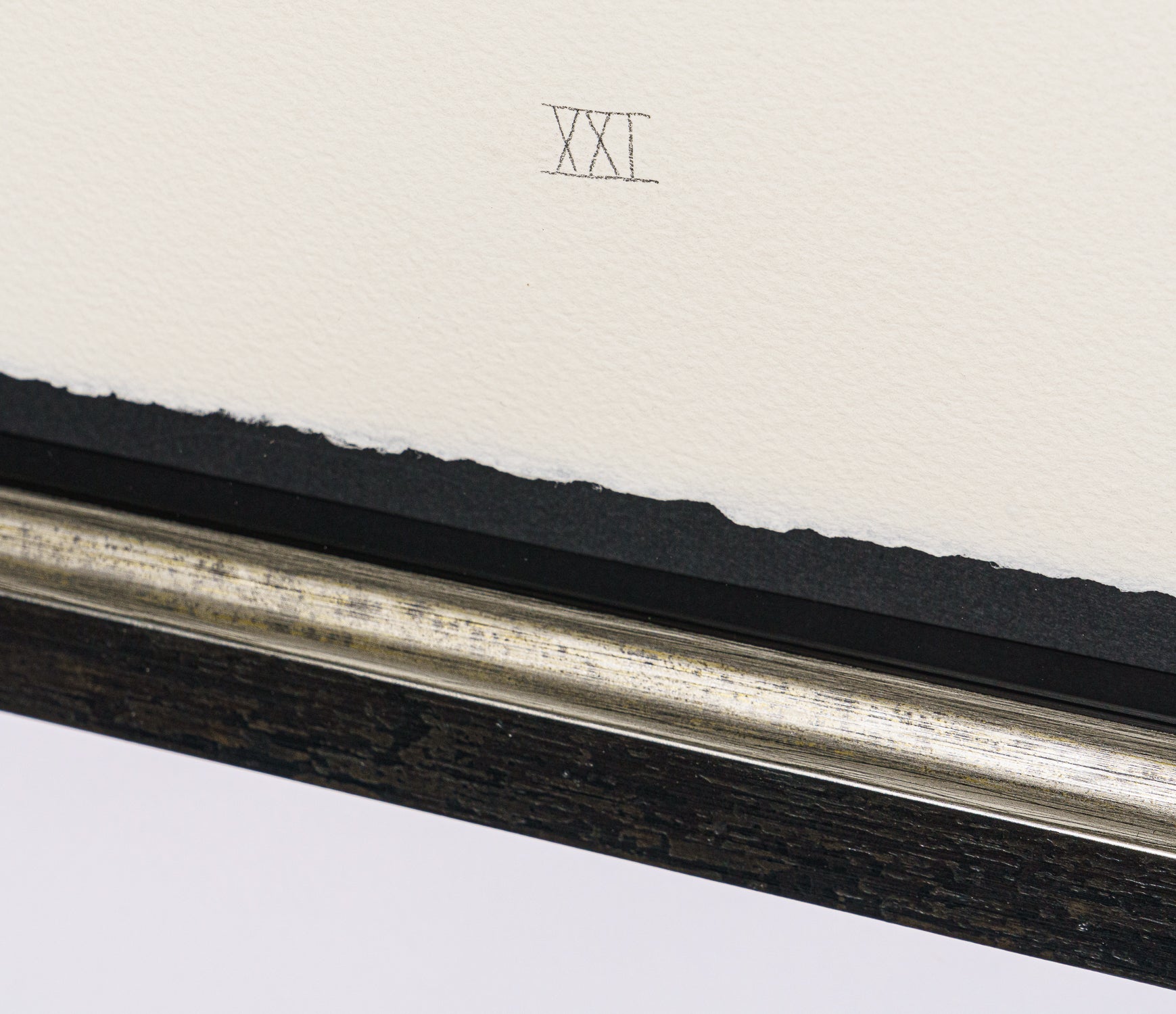 BCN SLE POR 28082 5 Scotty Poser XXI