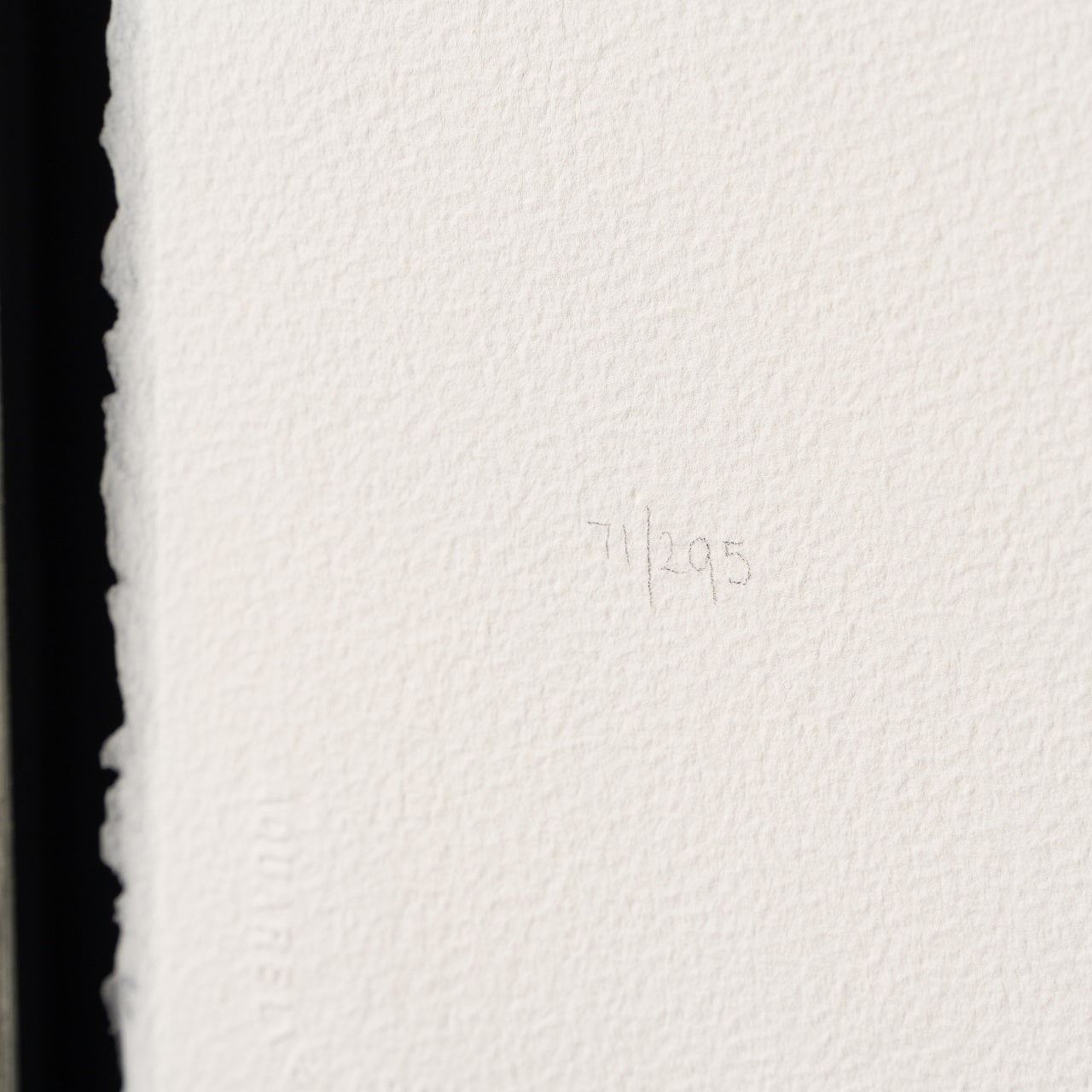 BCN SLE POR 28480 4 Birds On A Wire