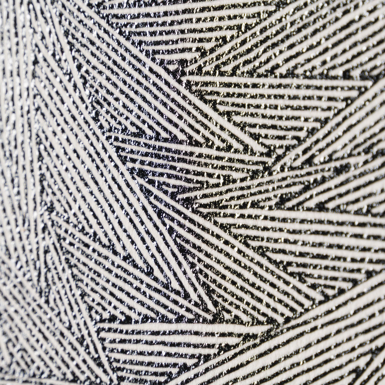 BCN SLE POR 28480 8 Birds On A Wire