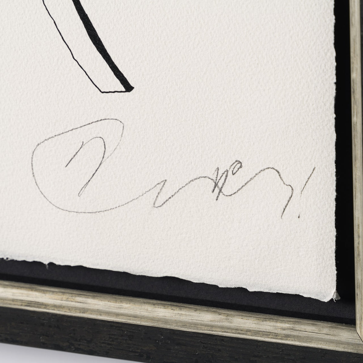 BCN SLE POR 28481F 3 Backseat Driver