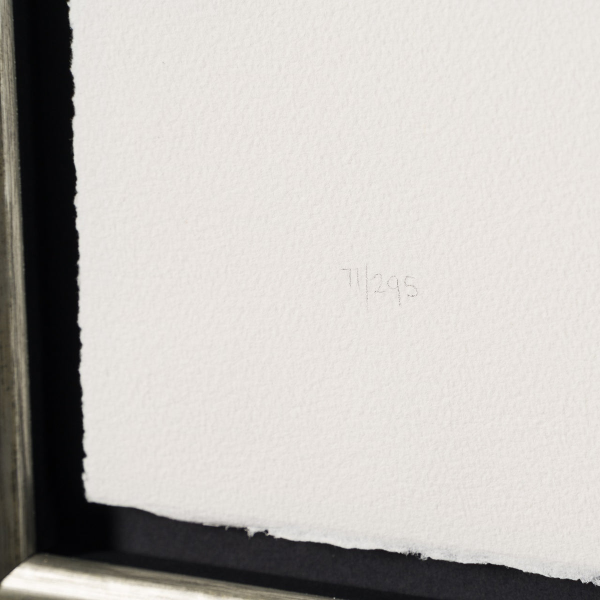 BCN SLE POR 28481F 4 Backseat Driver