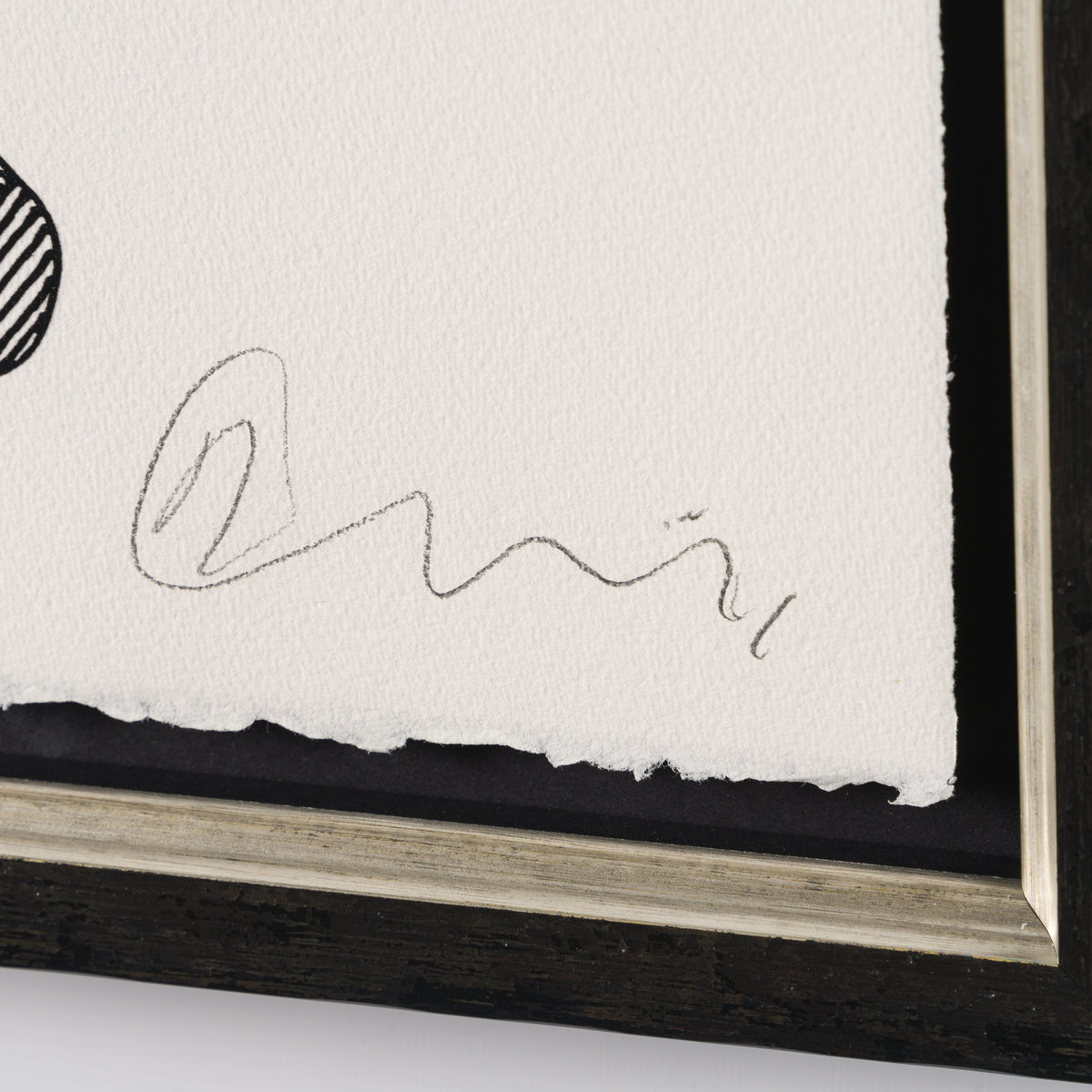 BCN SLE POR 31206 Drunk Donkey 3