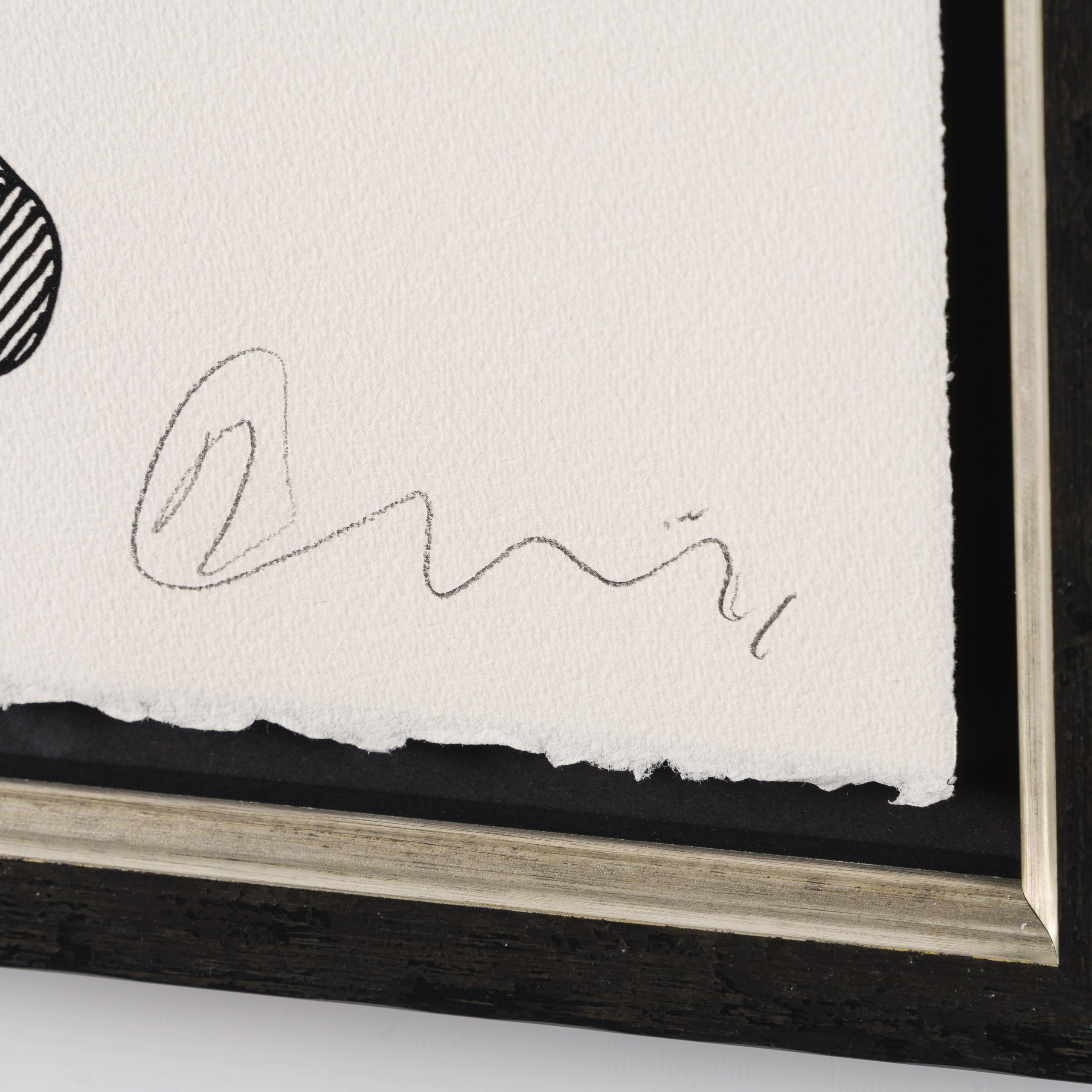 BCN SLE POR 31206 Drunk Donkey 3