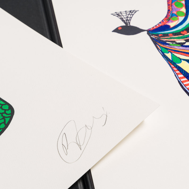 BCN Unframed set Collector s Edition edition 11