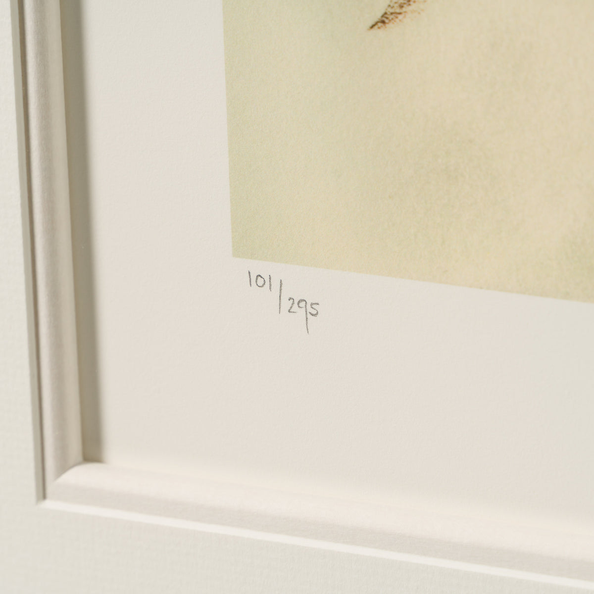 BDY Jazz Guitar Player 4