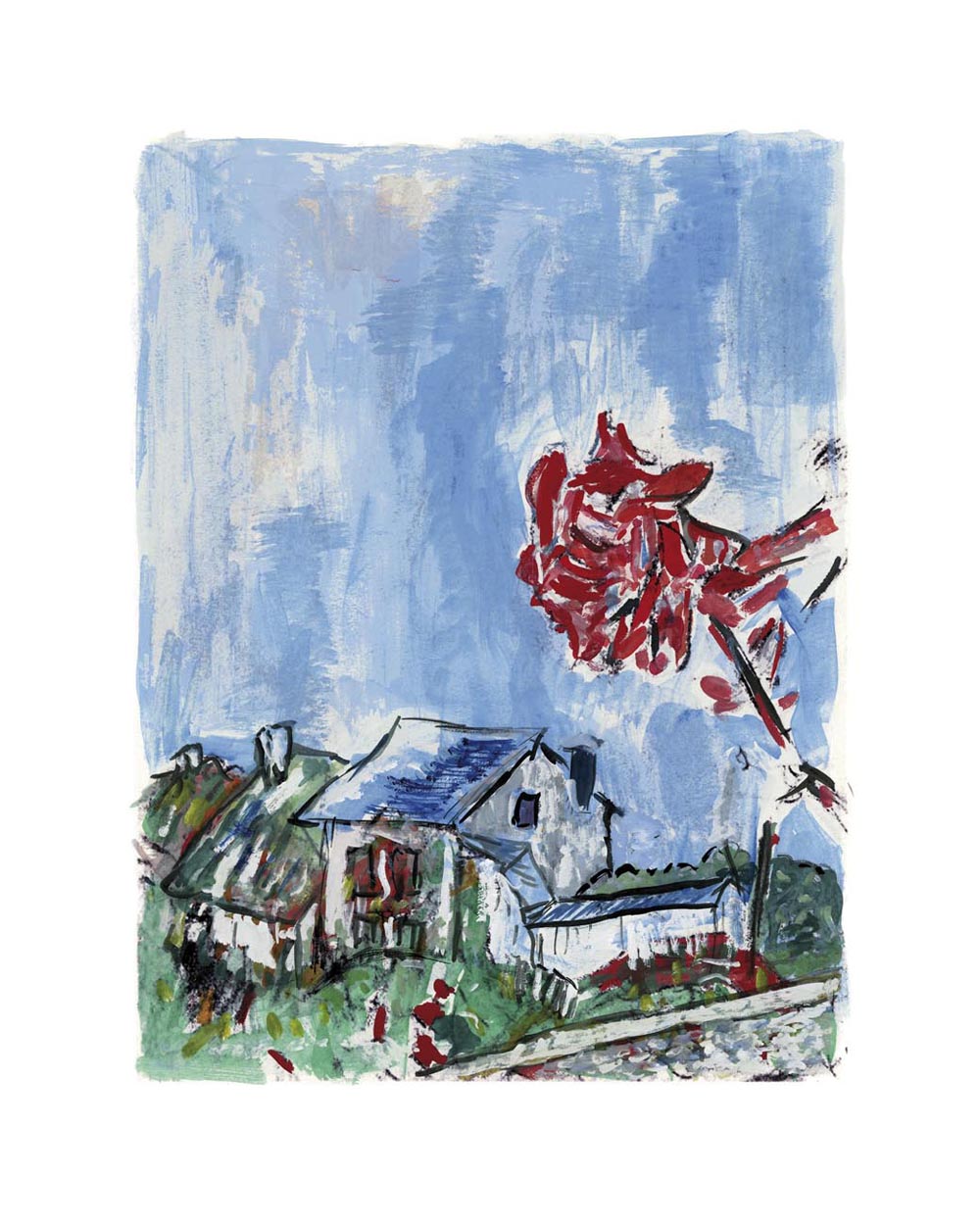 bdy rose on a hillside 2010