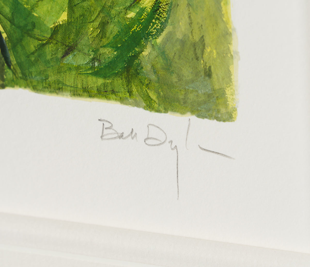 BDY SLE POR 08637 5 Florida Country (2016)