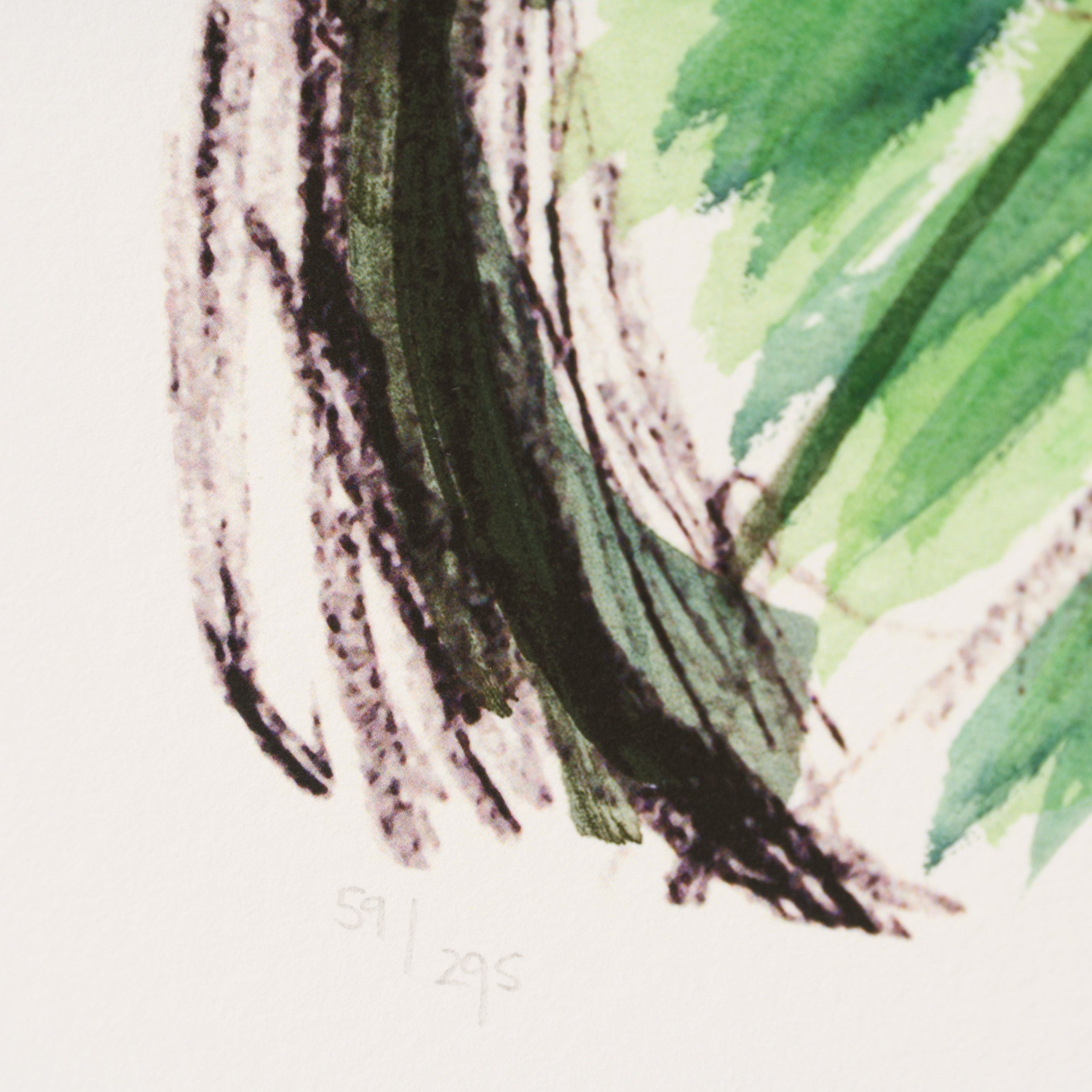 Bicycle - Medium (2013)