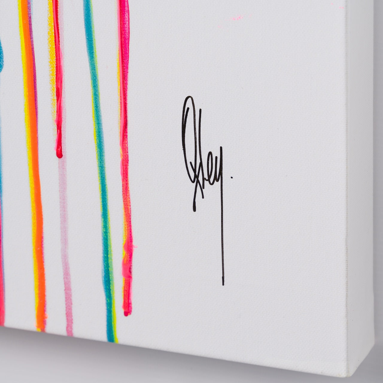 BOX 3 Animal 2 Embellished