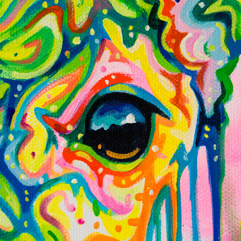 BOX Aurora Dawn 4