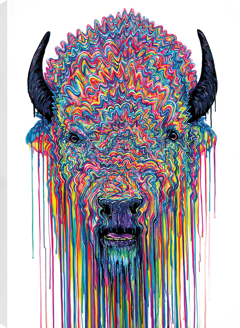 BOX Buffalo Soldier BC