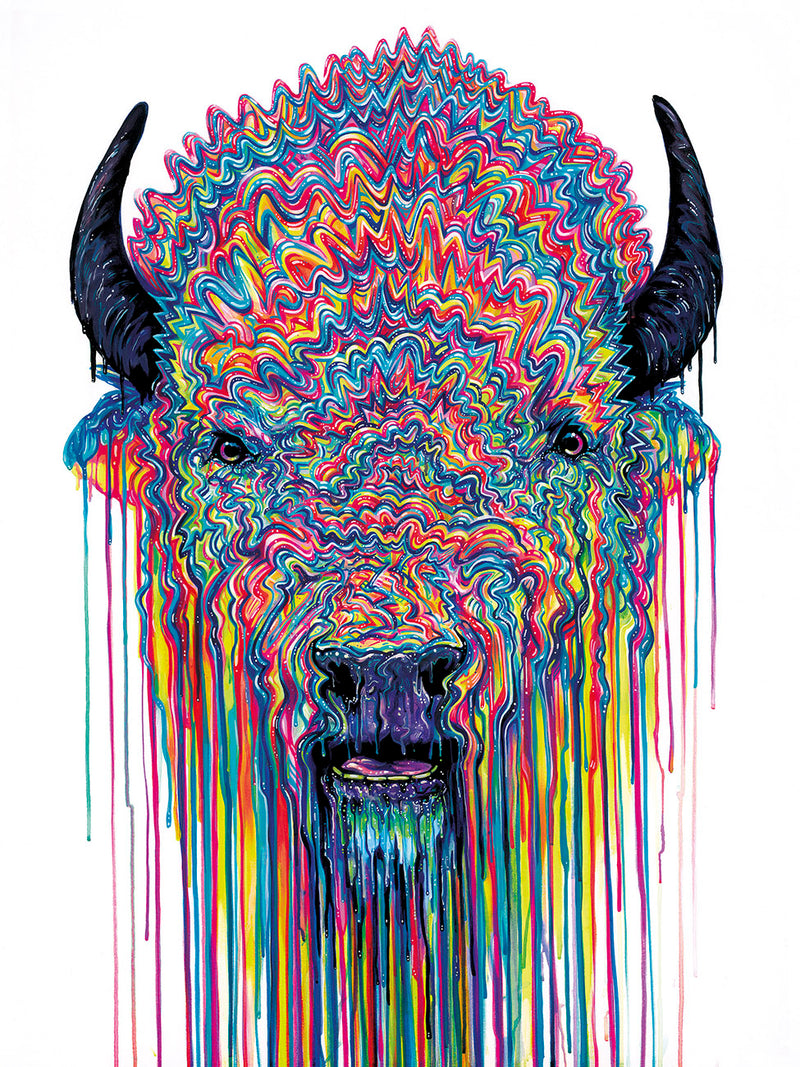 BOX Buffalo Soldier R