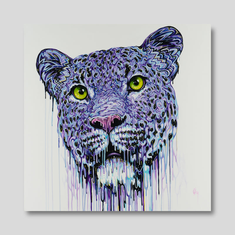 BOX ORI WWL 26199 1 Belladonna