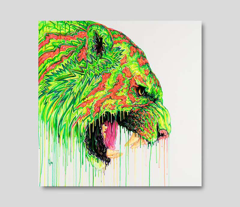 BOX ORI WWL 27505 1 Gamma