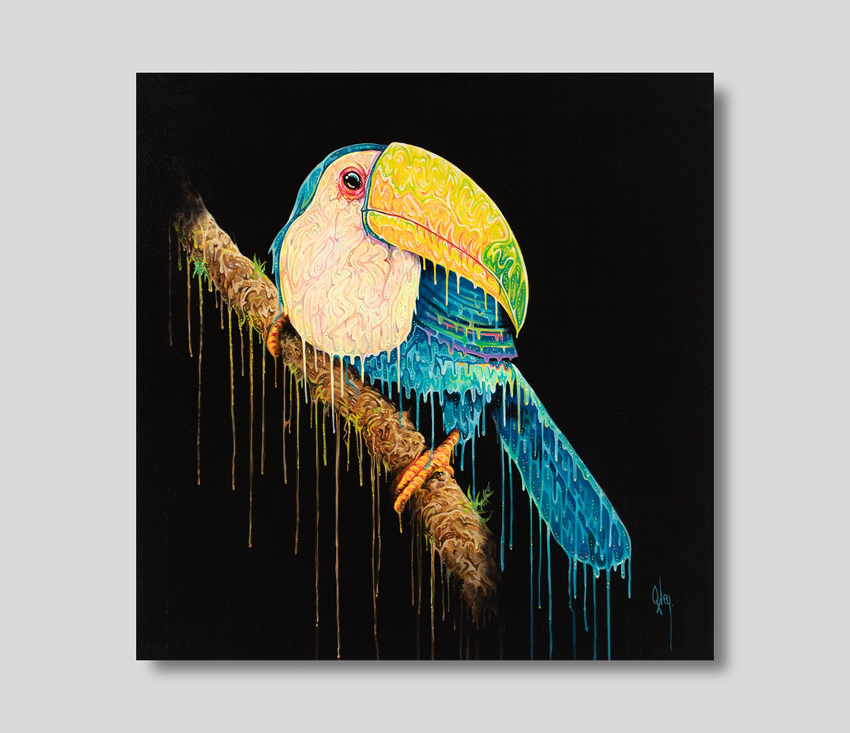 BOX ORI WWL 27883 1 Toco