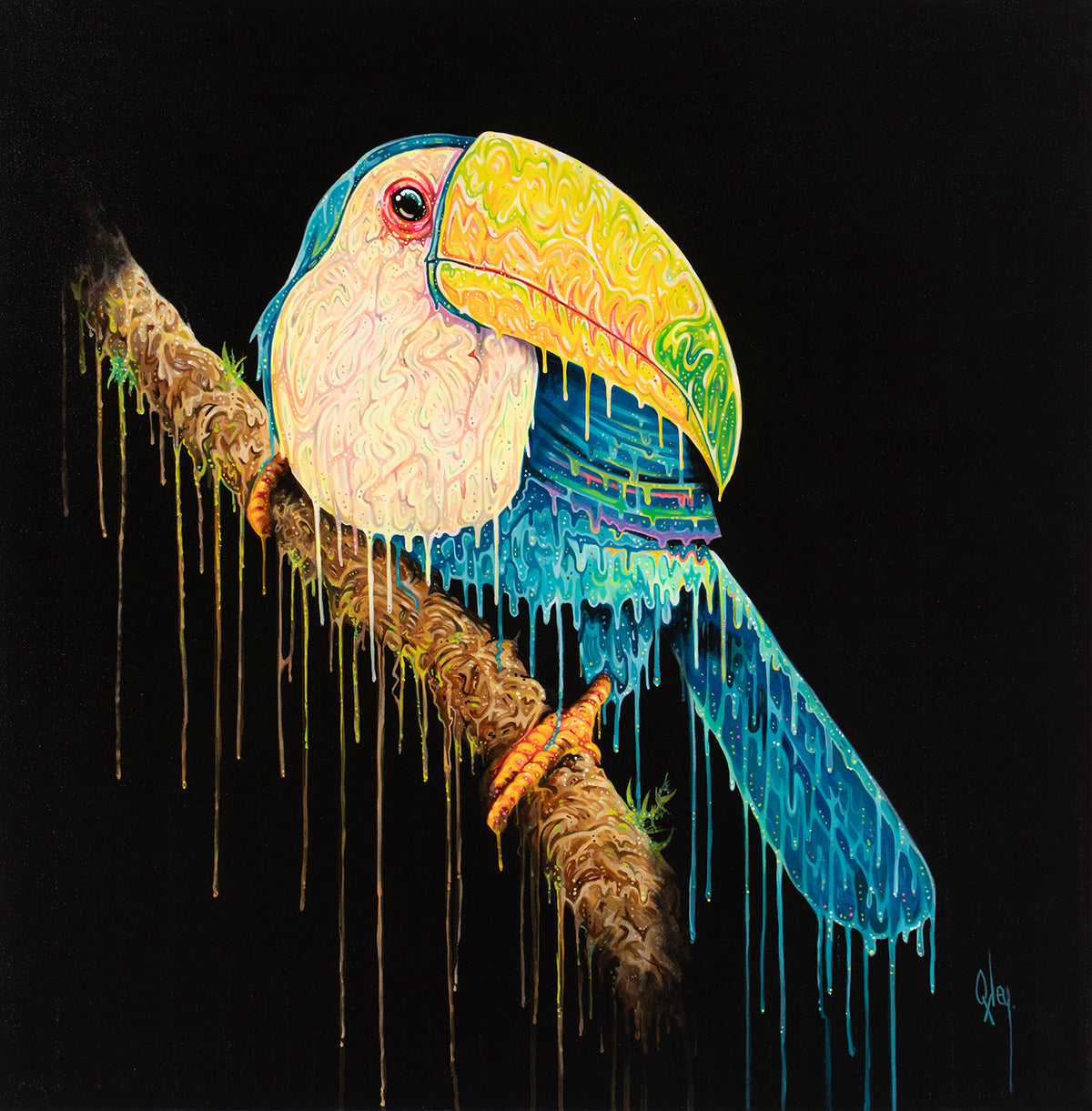 BOX ORI WWL 27883 3 Toco