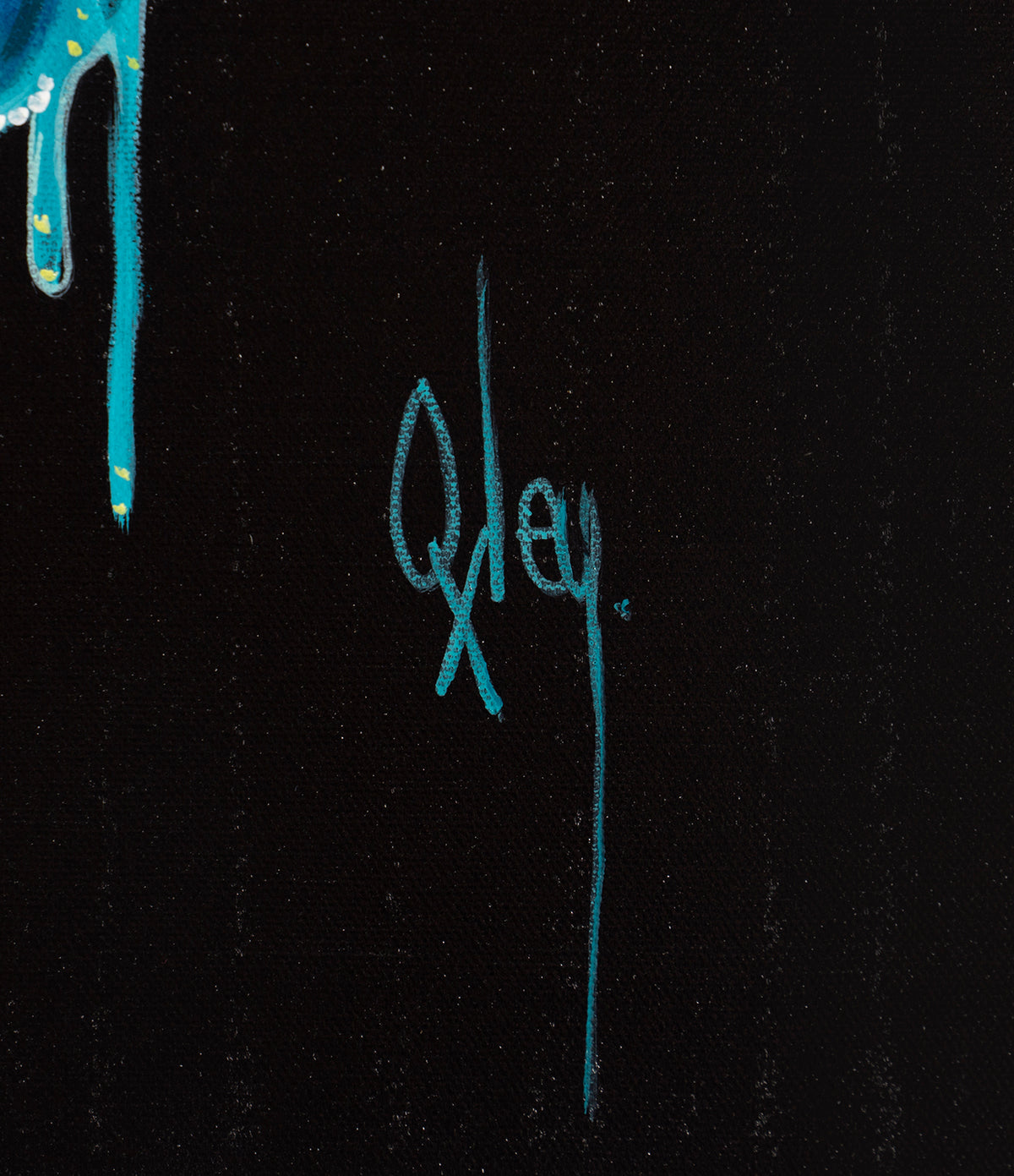 BOX ORI WWL 27883 4 Toco