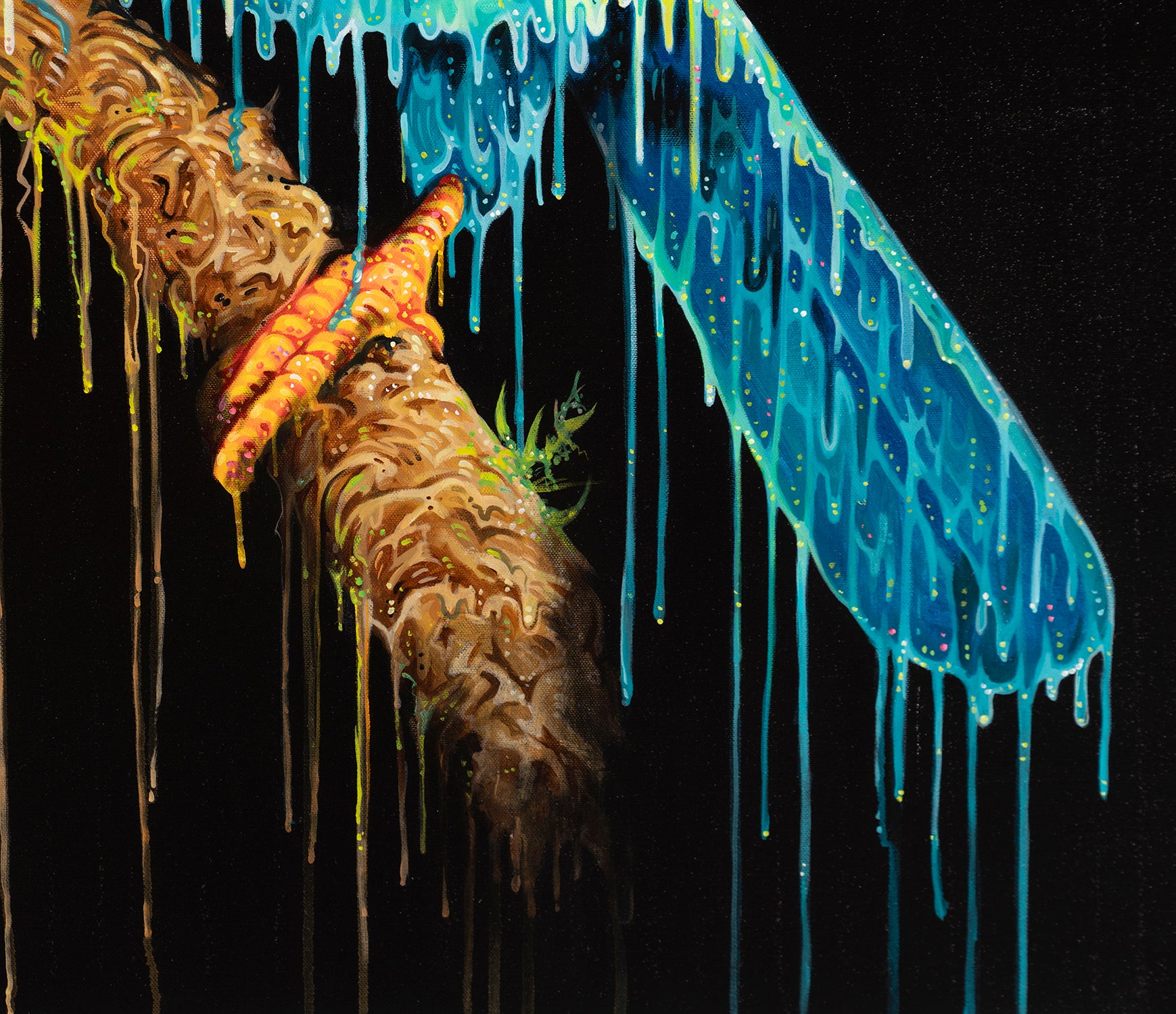 BOX ORI WWL 27883 6 Toco