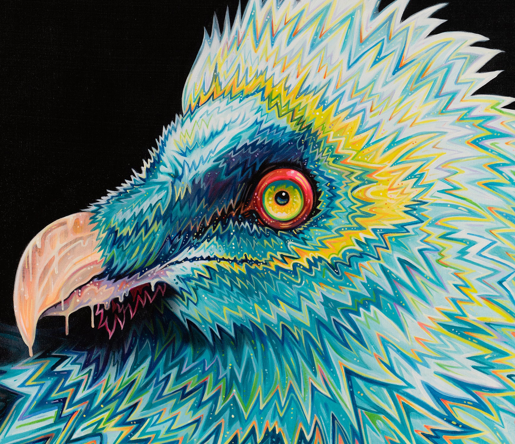 BOX ORI WWL 27884 5 Lammergier