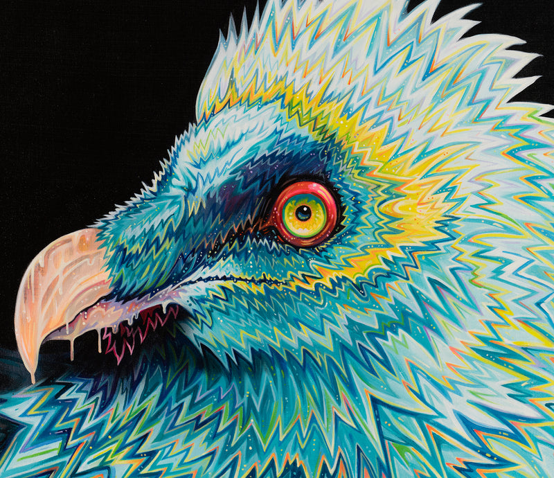 BOX ORI WWL 27884 5 Lammergier